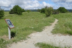 150618 ΒΡΑΔΕΤΟ ΜΠΕΛΟΗ ΣΤΡΟΥΓΚΑ ΠΑΠΙΓΚΟΥ ΚΛΕΙΔΩΝΙΑΣ 522 ΧΑΡΗΤΑΚΗΣ ΠΑΠΑΙΩΑΝΝΟΥ/ HARITAKIS PAPAIOANNOU